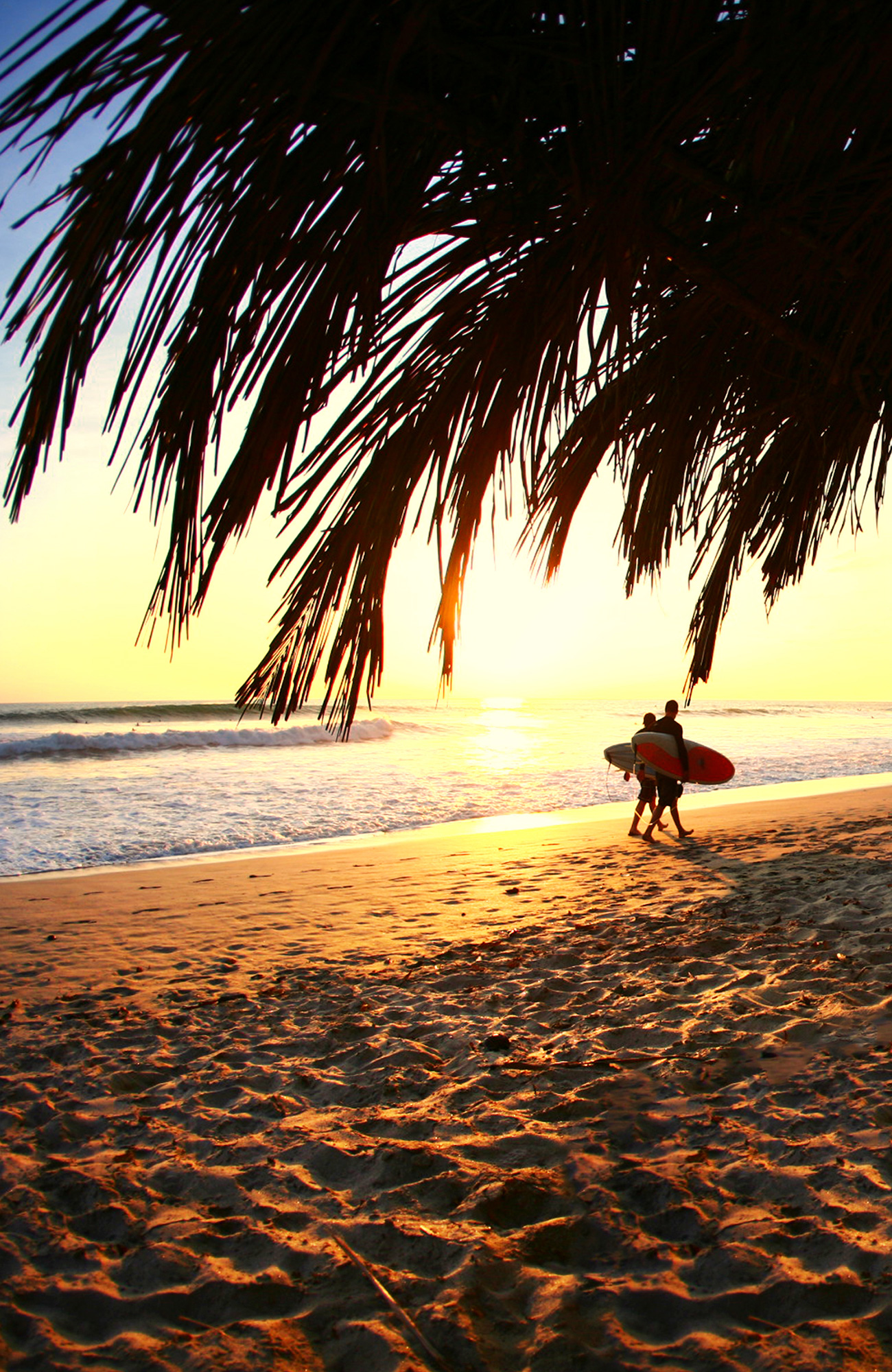 Теплые страны и города. Nosara Beach Costa Rica. Море пляж. Пляж фото. Пальмы на закате.